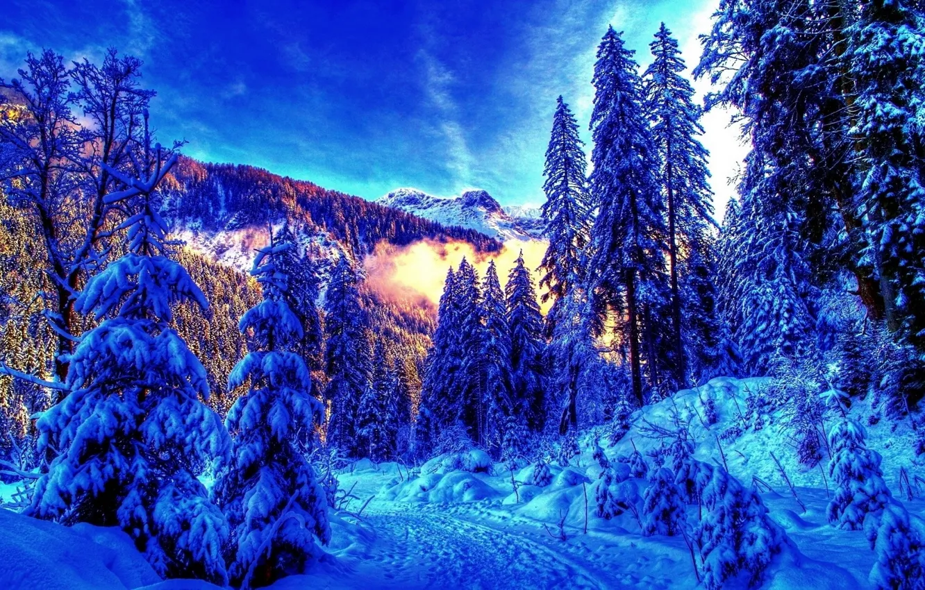 Photo wallpaper winter, forest, landscape, mountains