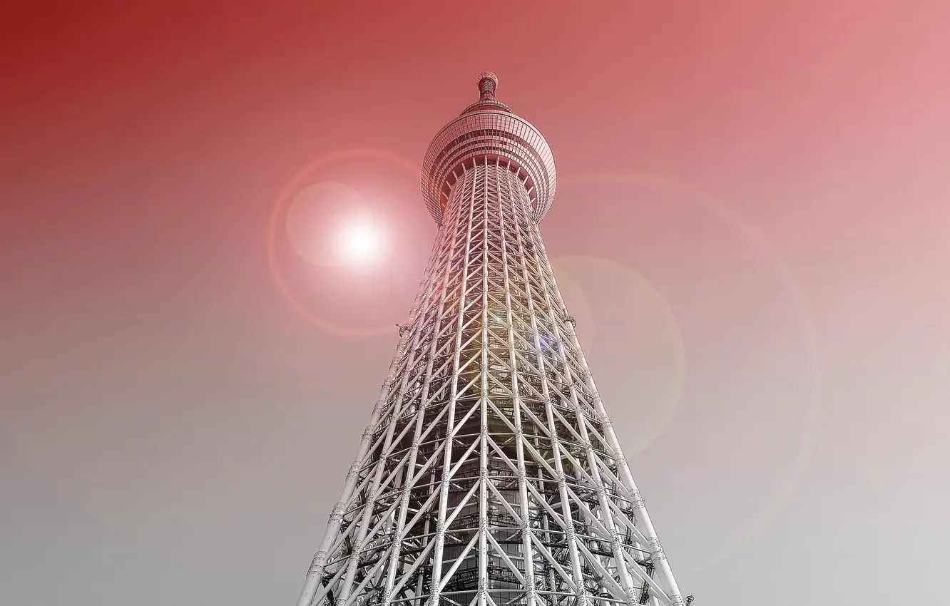 Photo wallpaper the city, tower, Tokyo