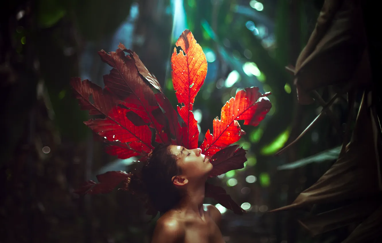 Photo wallpaper forest, girl, sheet, bokeh