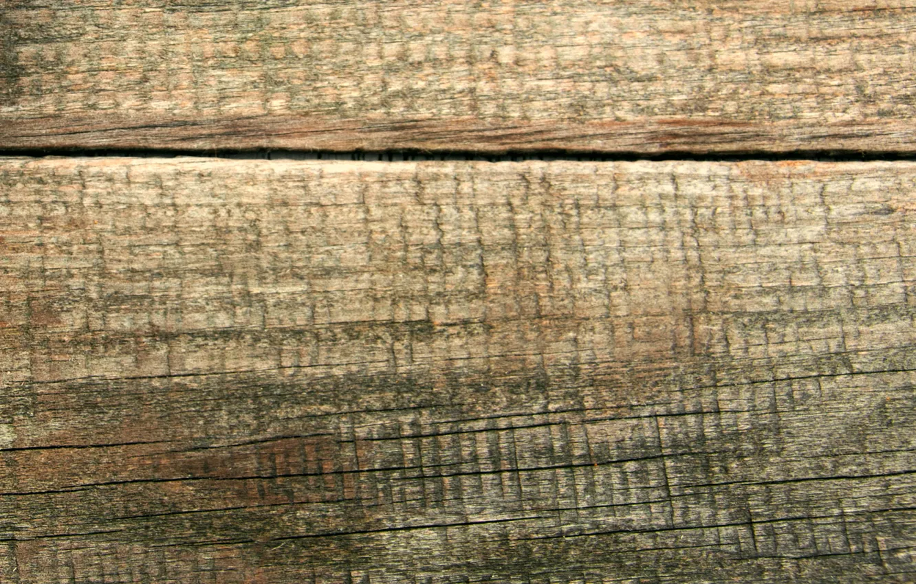 Photo wallpaper structure, texture, wood