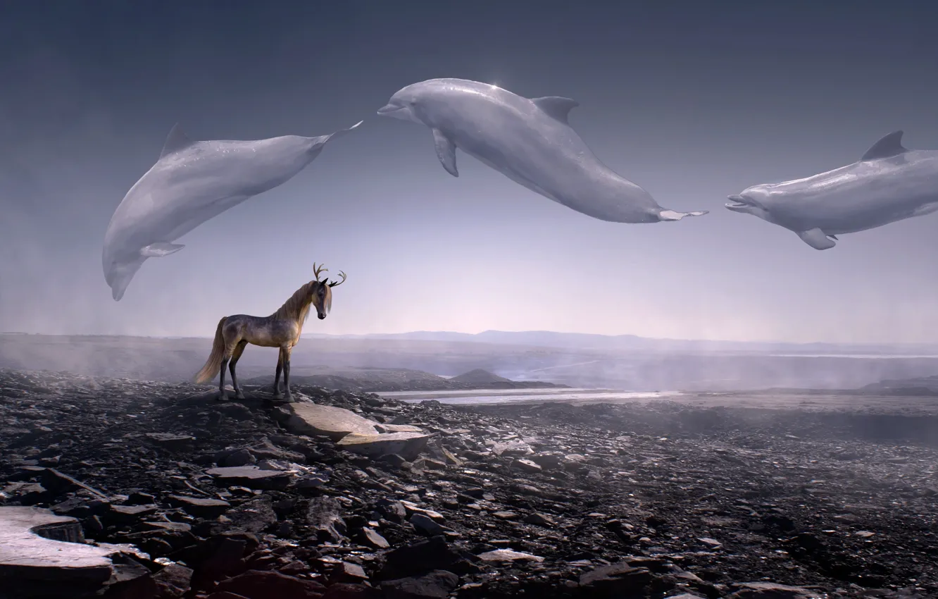 Photo wallpaper animals, the sky, landscape, mountains, space, fog, stones, rendering