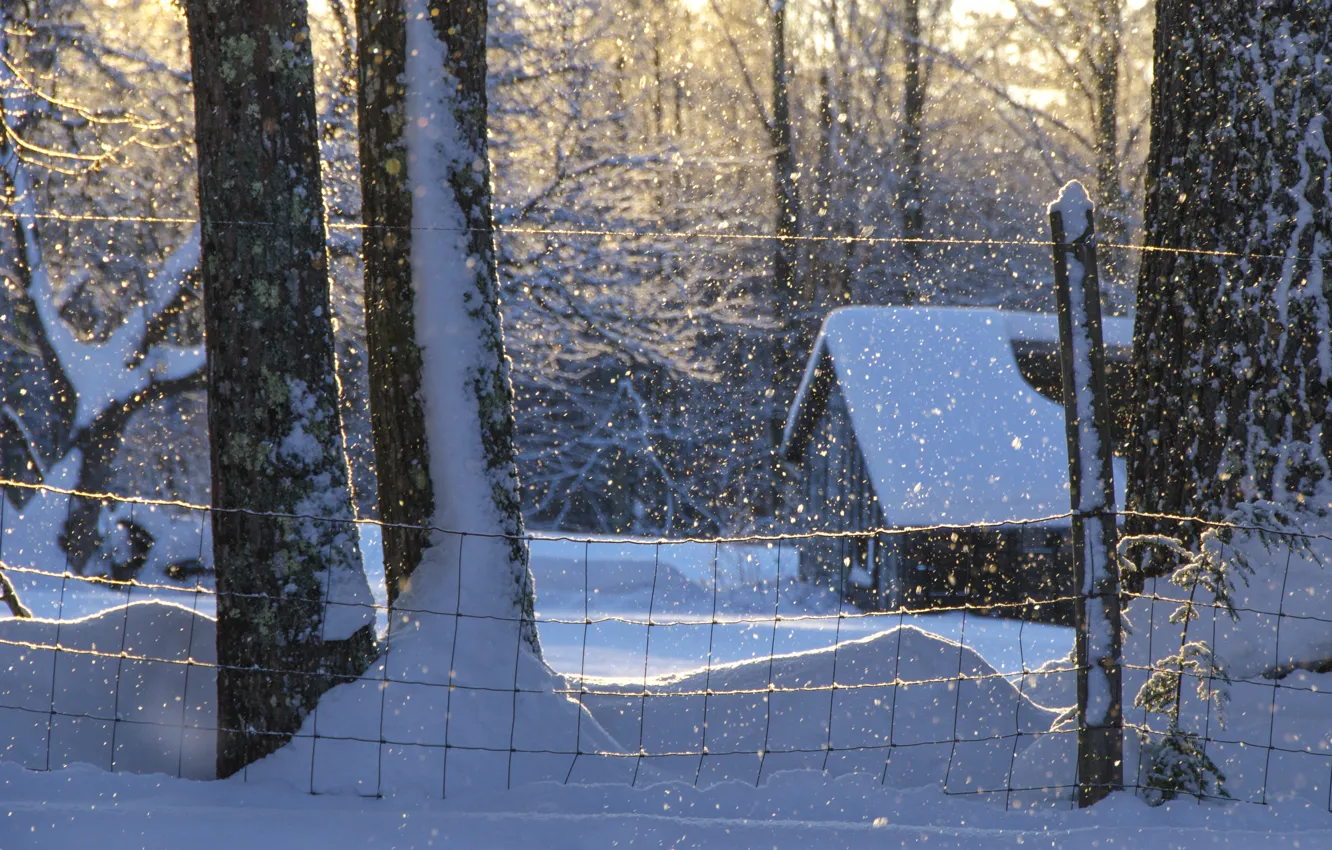 Photo wallpaper winter, snow, trees, house, the snow, Maine, Man, New England