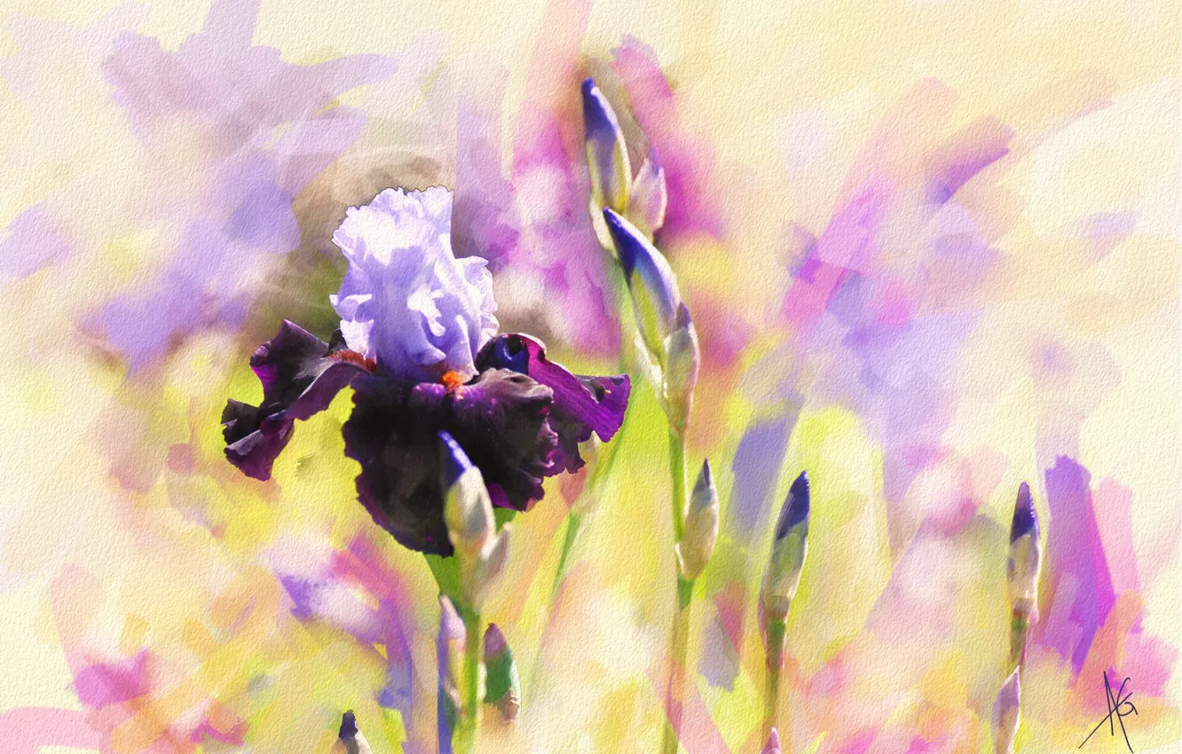 Photo wallpaper purple, flowers, figure, graphics, treatment, picture, art, painting