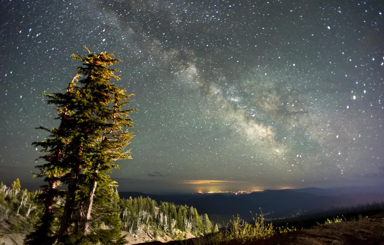 Photo wallpaper the sky, stars, trees, landscape, nature, the milky way