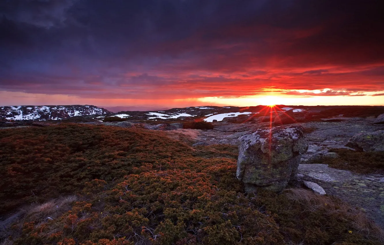 Photo wallpaper clouds, sunset, mountains, stones, moss, tundra