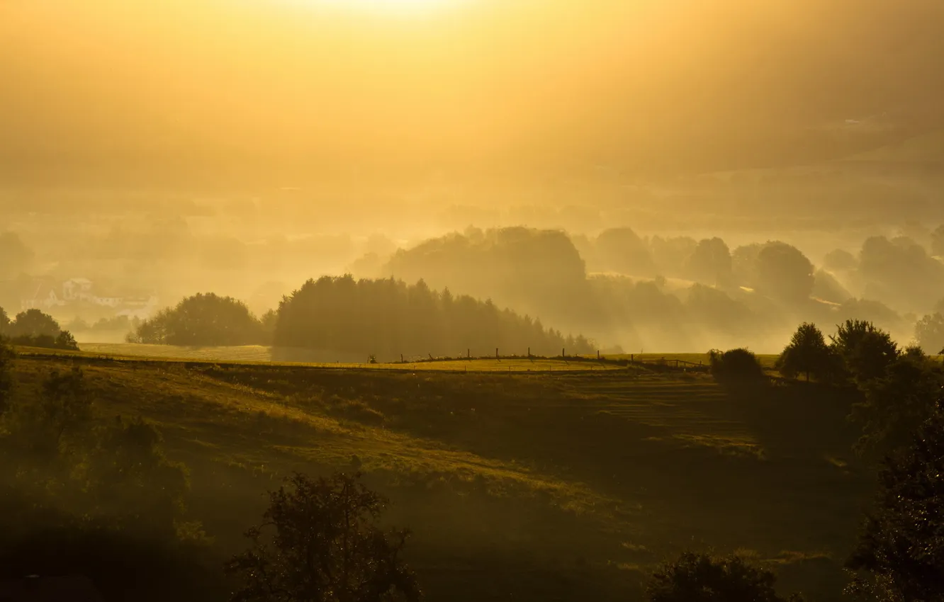 Photo wallpaper field, landscape, sunset, fog