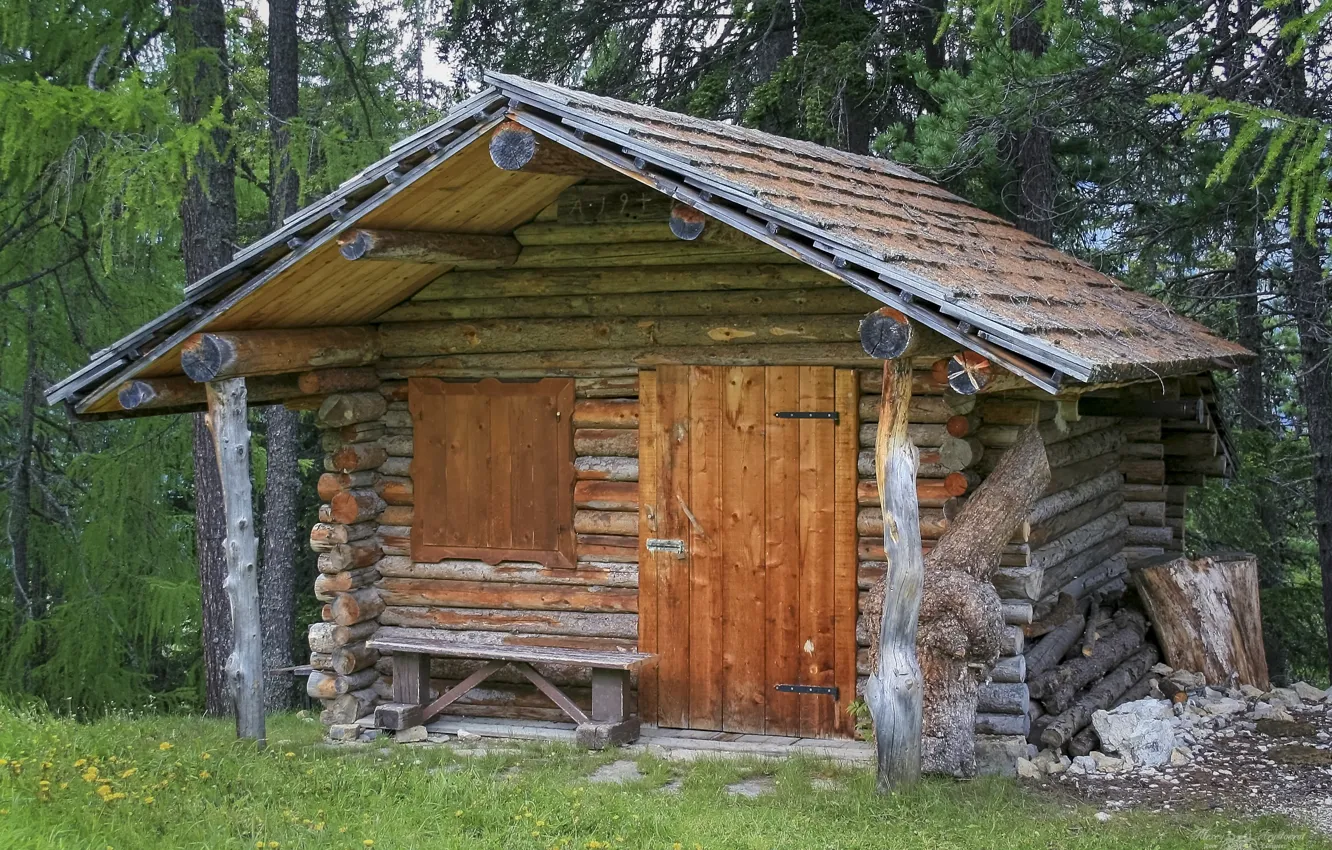 Photo wallpaper forest, bench, Alps, hut, architecture, pine, frame, the cabin in the woods