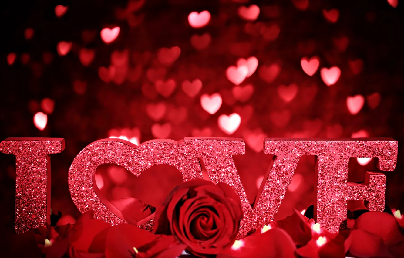Photo wallpaper love, flowers, heart, rose