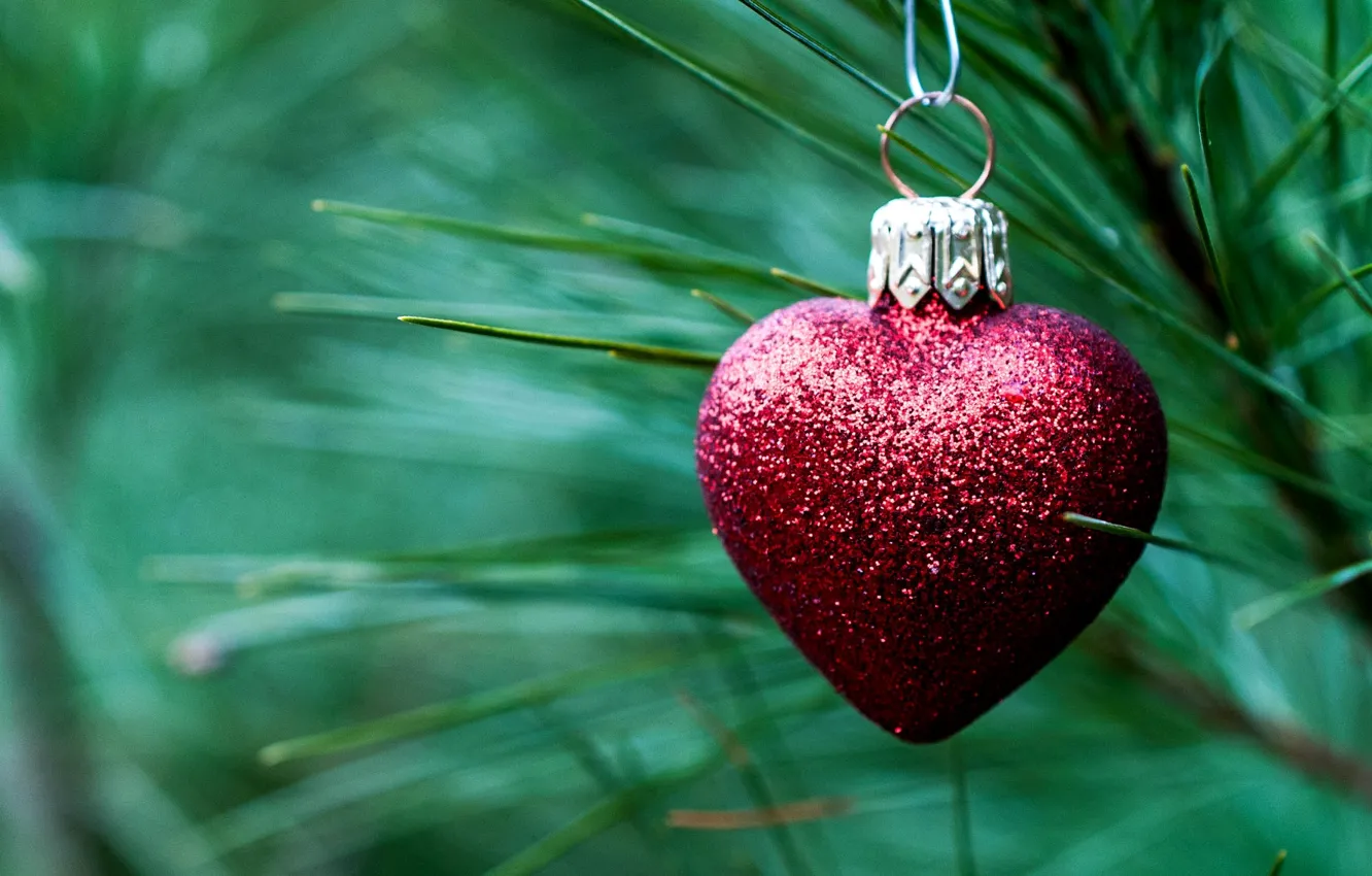 Photo wallpaper needles, red, toy, heart, spruce, branch, New Year, Christmas