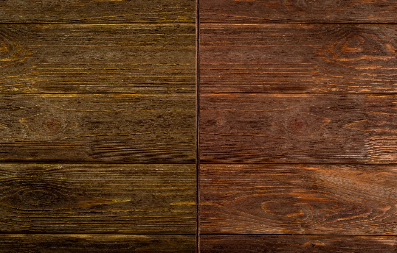 Photo wallpaper trees, color, texture, finish