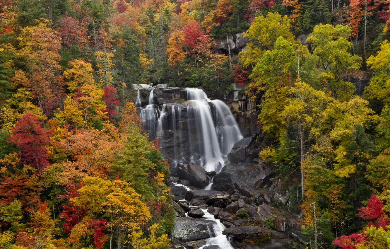 Photo wallpaper autumn, forest, nature, waterfall