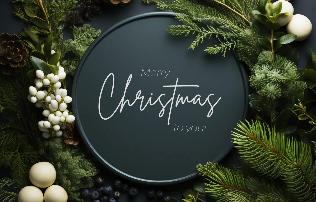 Photo wallpaper circles, branches, berries, the dark background, the inscription, new year, frame, fruit