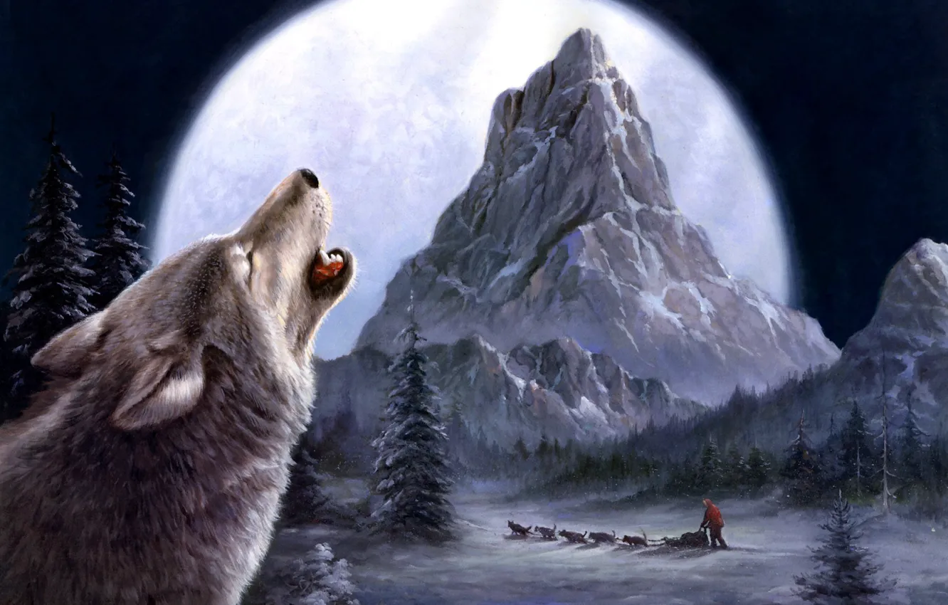 Photo wallpaper winter, wolf, painting, Tok Hwang