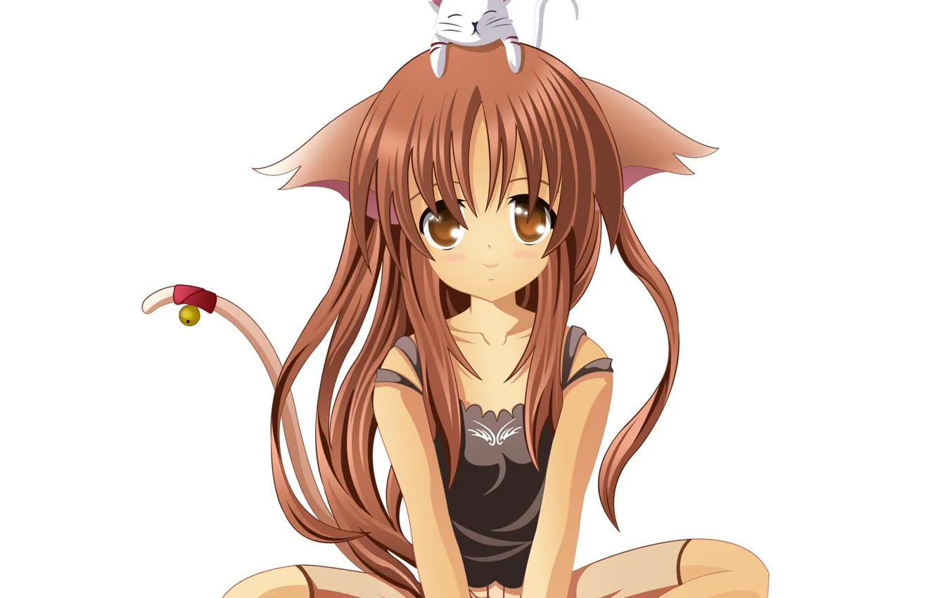 Photo wallpaper girl, tail, kitty, I love it, bell, A School Life of Heaven