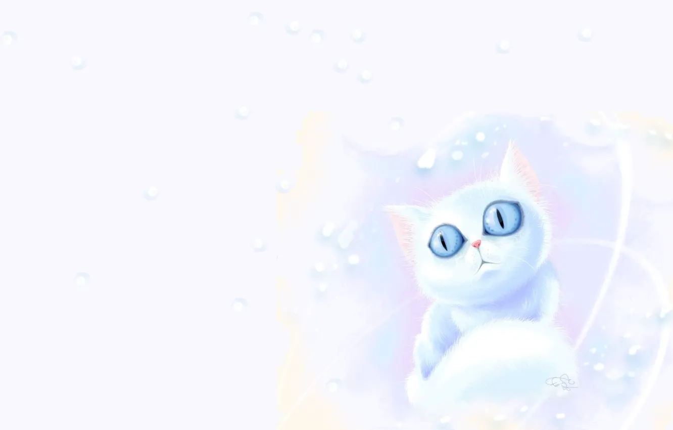 Photo wallpaper bubbles, mood, cat, eyes, kitty, art. children's
