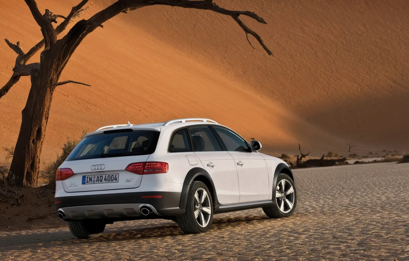 Photo wallpaper white, Audi, desert, Allroad