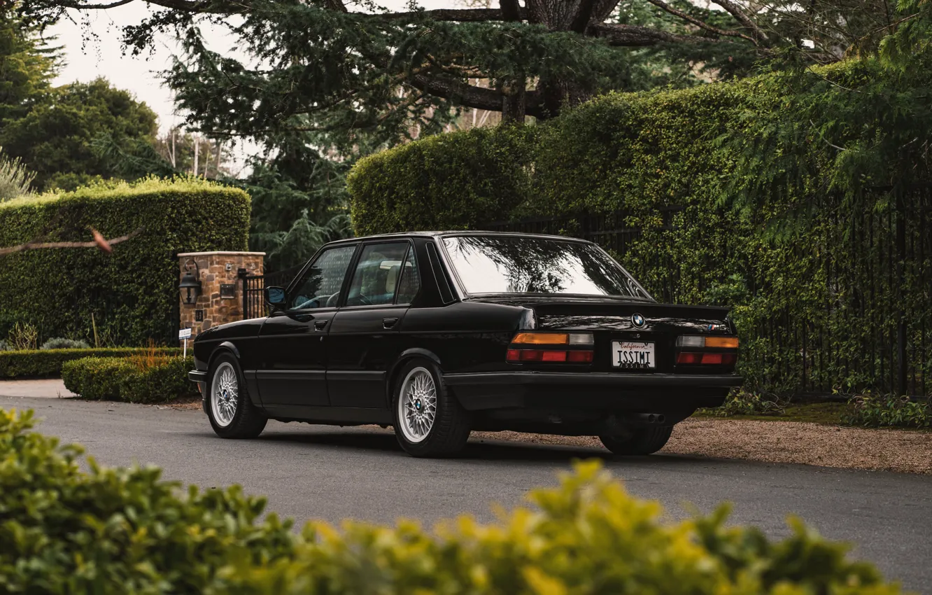 Photo wallpaper BMW, E28, 1988, M5