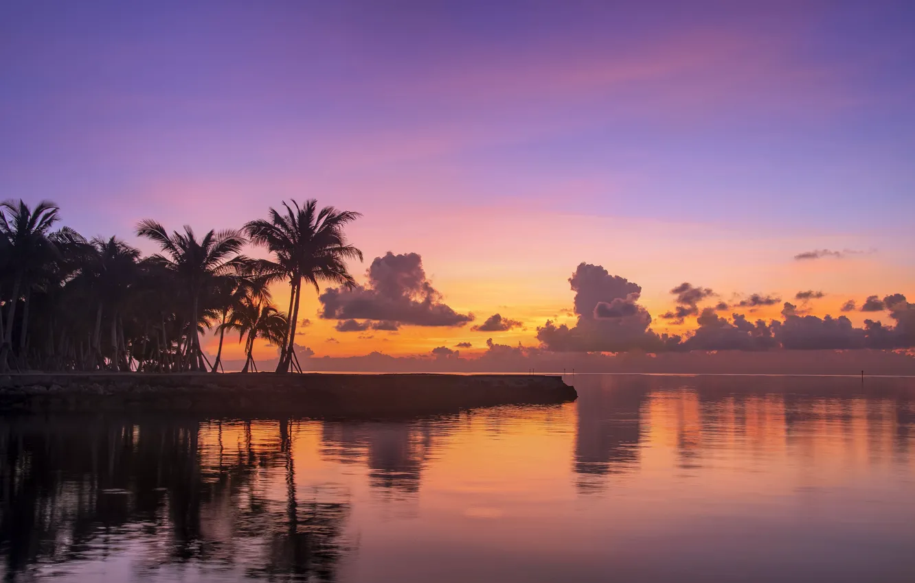 Photo wallpaper sea, palm trees, the ocean, dawn, morning, FL