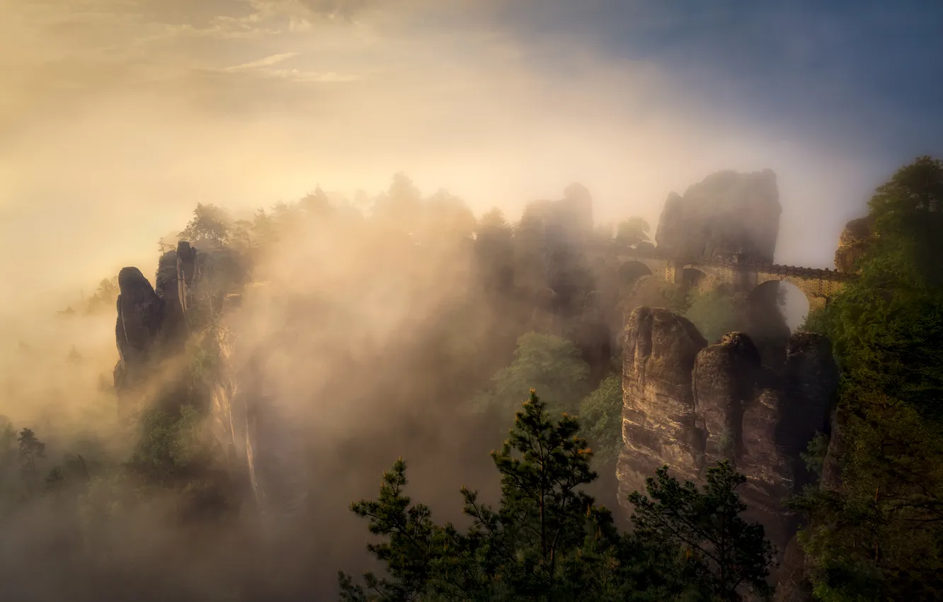 Photo wallpaper trees, mountains, fog, morning, haze, the beauty of nature, Saxon Switzerland, bridge over the gorge