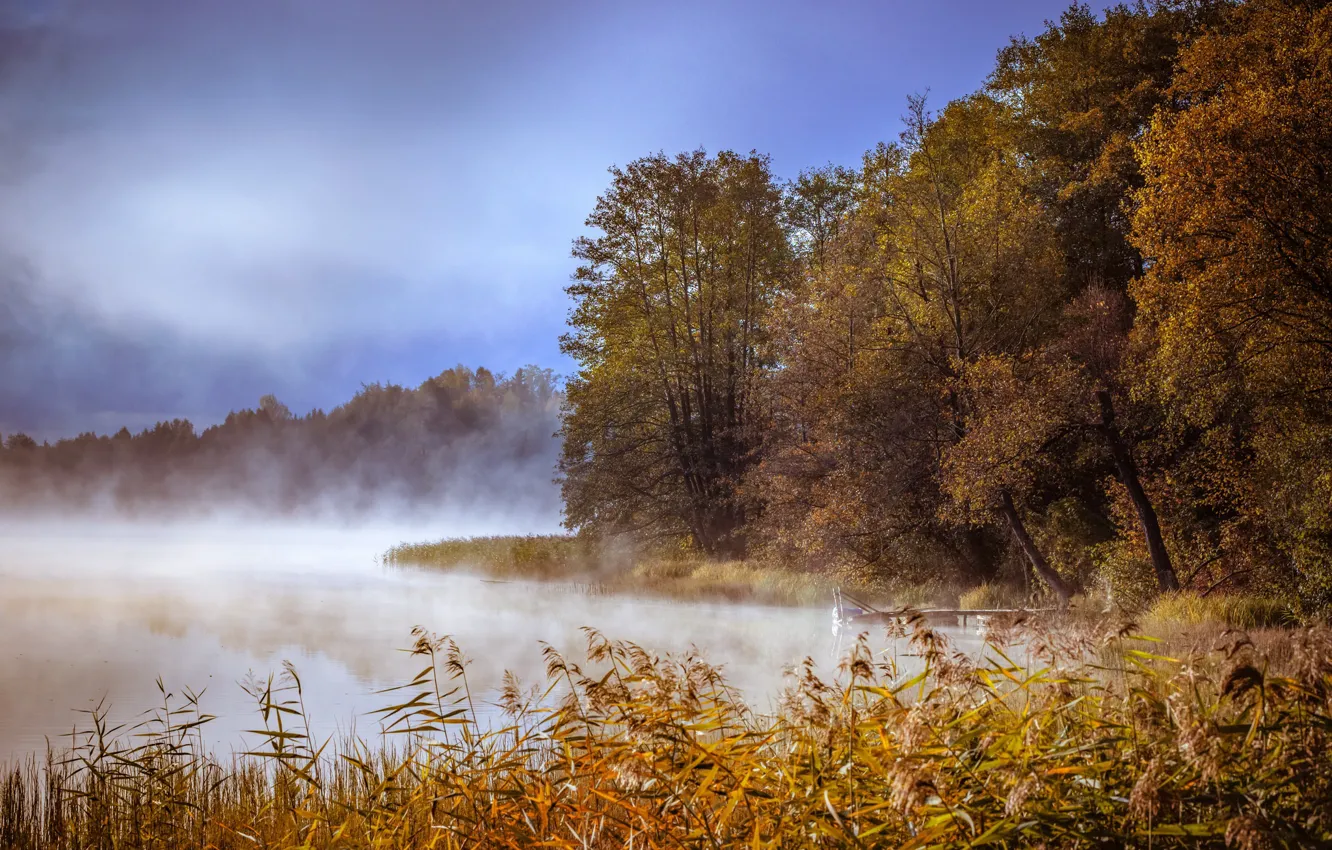Photo wallpaper autumn, fog, lake