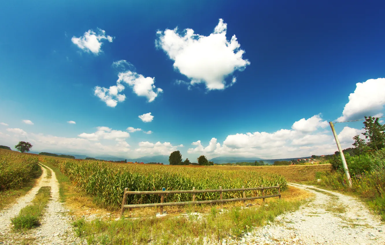 Photo wallpaper road, field, the sky, clouds, corn, fence