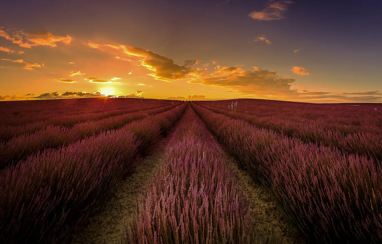 Photo wallpaper field, the sky, the sun, clouds, rays, light, landscape, sunset