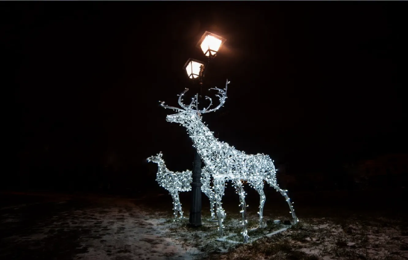 Photo wallpaper holiday, lights, garland, deer
