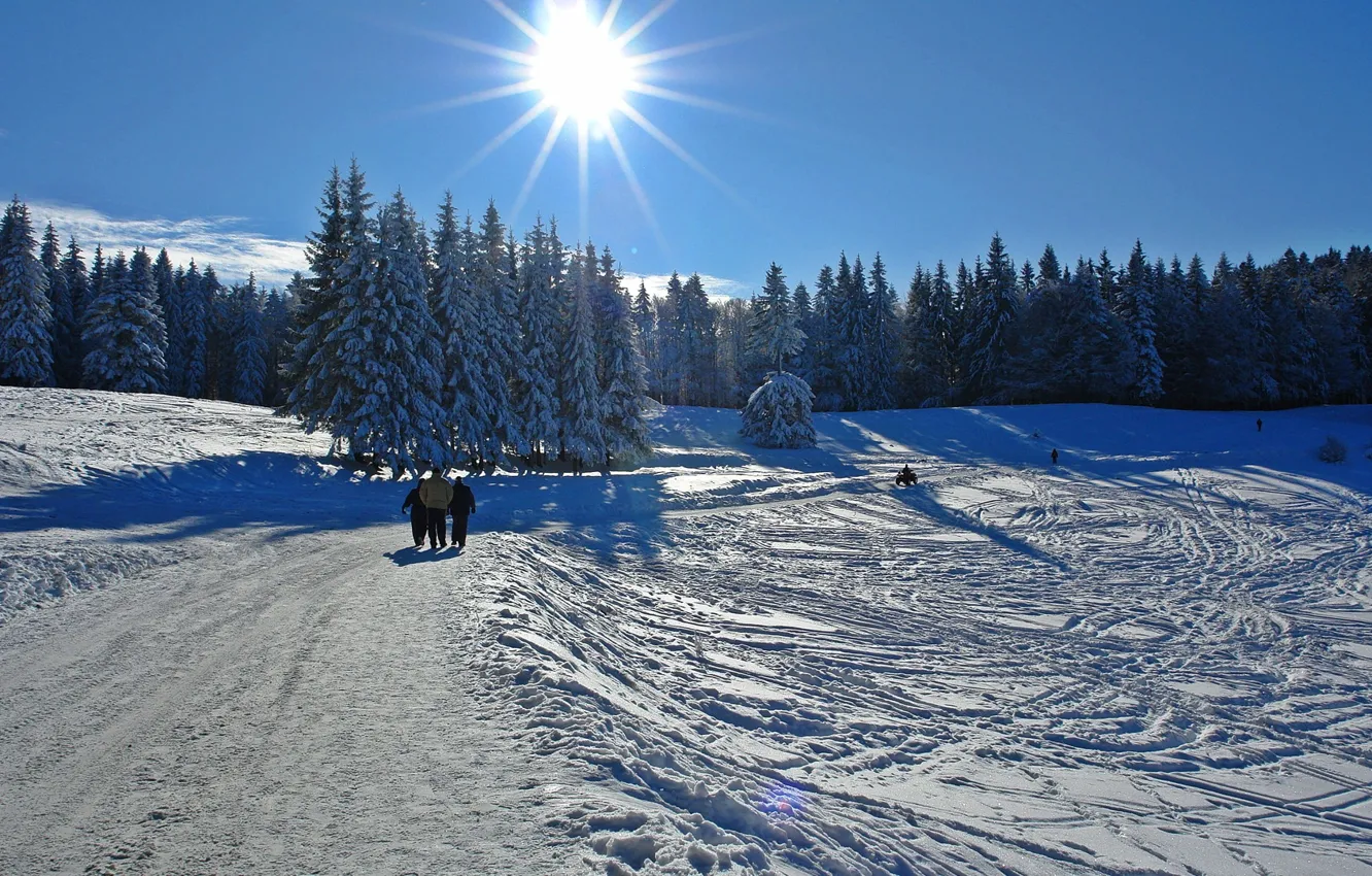 Photo wallpaper winter, snow, cold