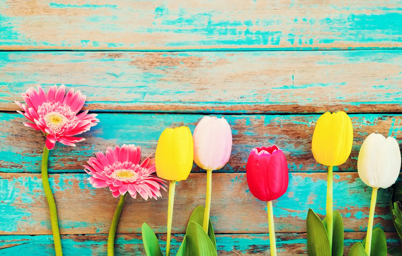 Photo wallpaper flowers, spring, colorful, tulips, gerbera, wood, flowers, tulips