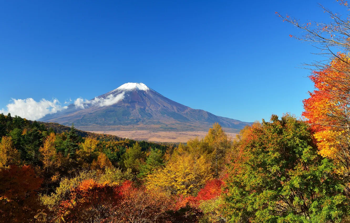 Photo wallpaper autumn, the sky, leaves, trees, Japan, mount Fuji