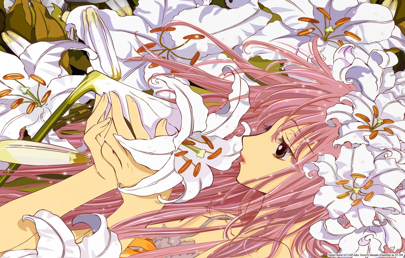 Photo wallpaper girl, anime, art, hanato kobato, Kobato, kari sakuraneko