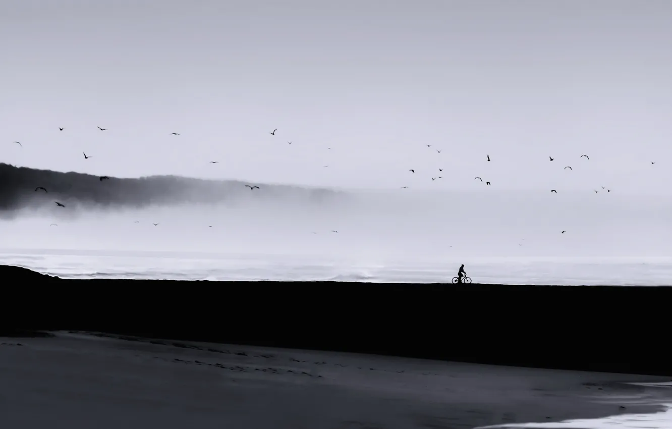 Photo wallpaper sea, landscape, birds, fog, people, minimalism