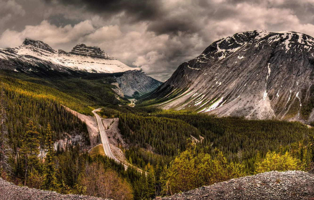 Photo wallpaper road, forest, mountains