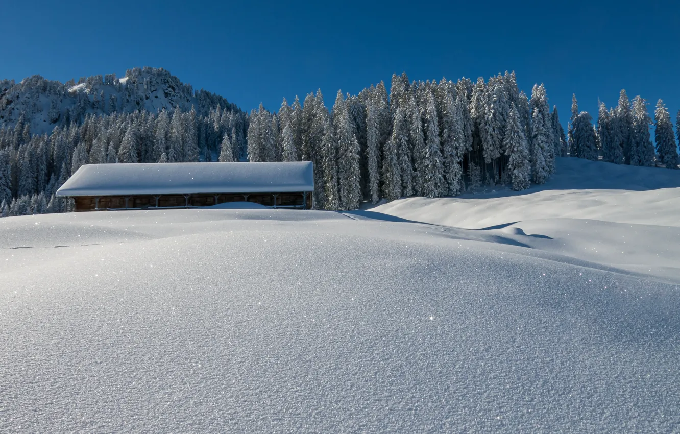 Photo wallpaper winter, roof, field, forest, the sky, light, snow, house