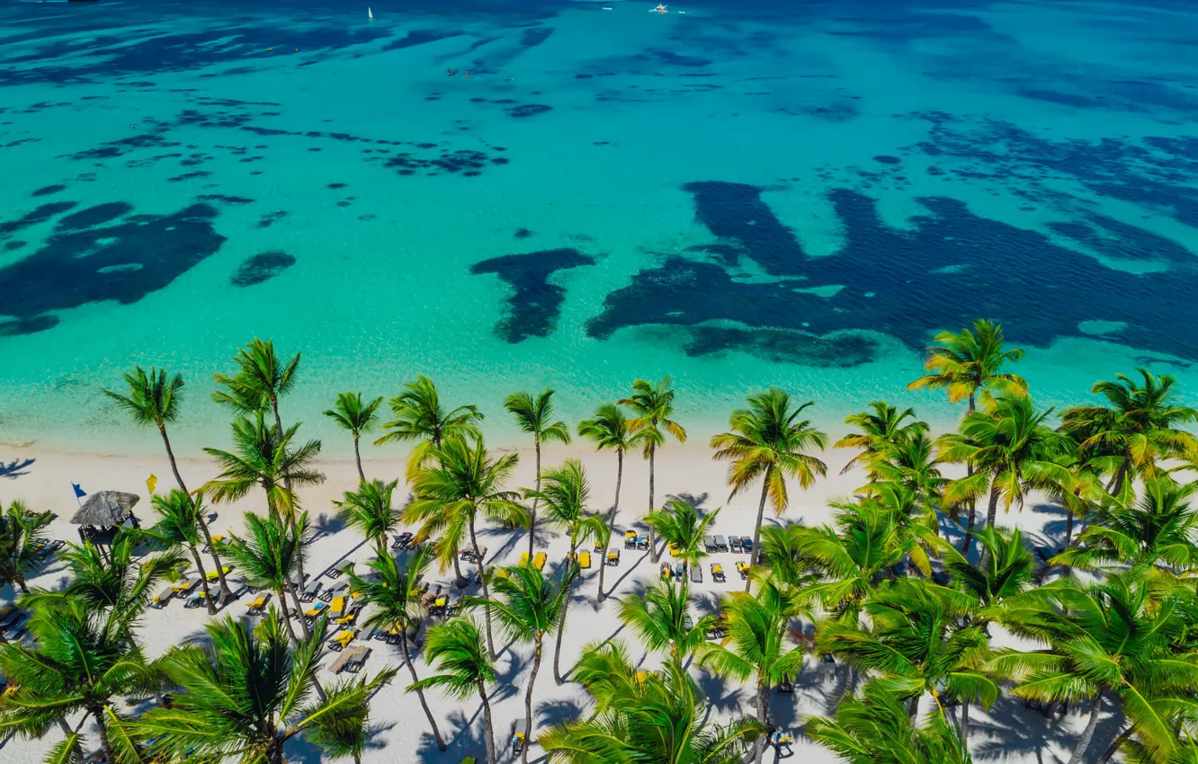 Photo wallpaper sea, beach, palm trees, stay, shore, sun loungers