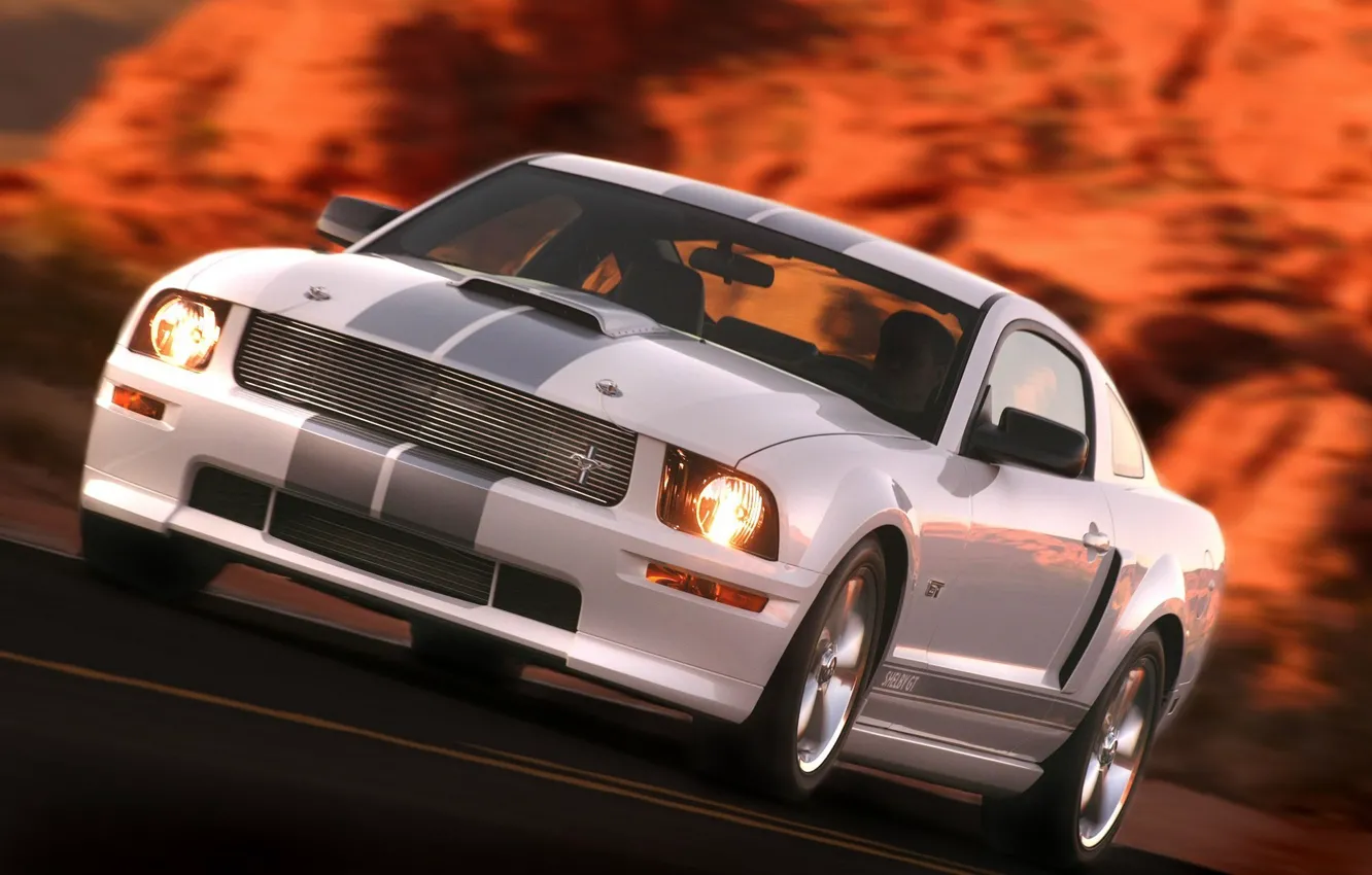 Photo wallpaper Mustang, Shelby, GT500