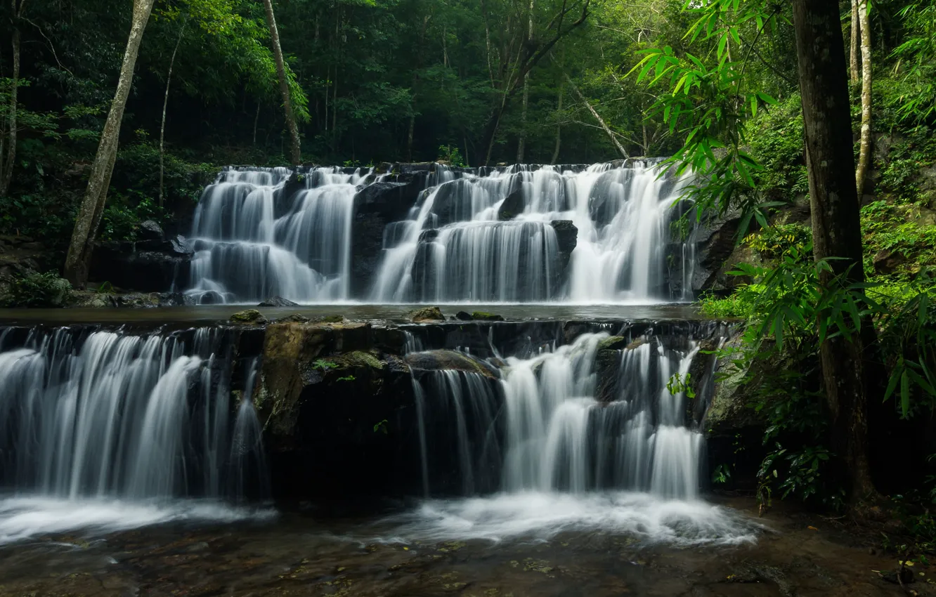 Photo wallpaper forest, trees, nature, river, waterfall, stream