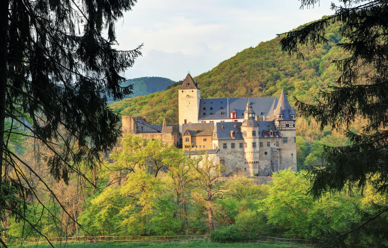 Photo wallpaper trees, mountains, castle, Germany, Mayen, Buerresheim