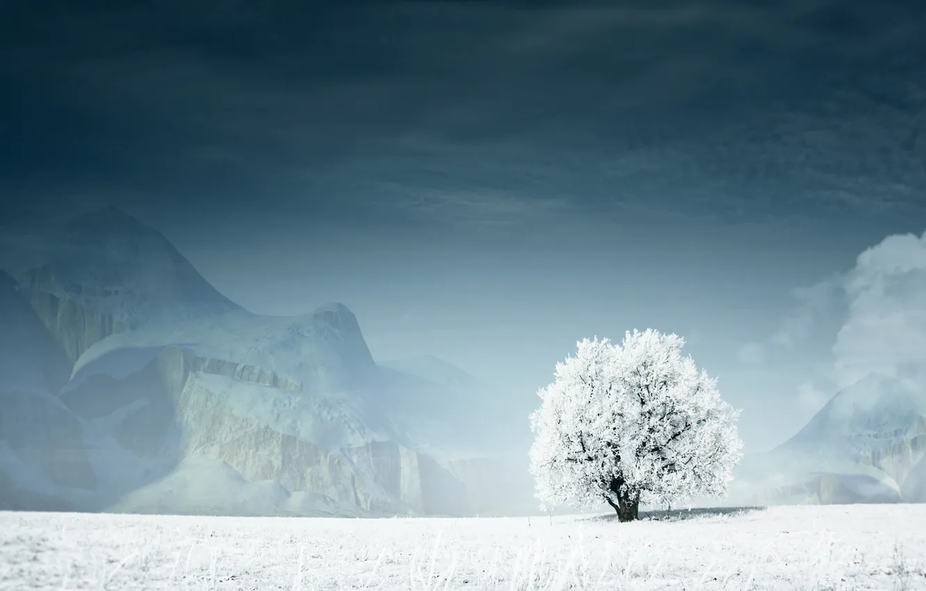 Photo wallpaper winter, snow, trees, mountains