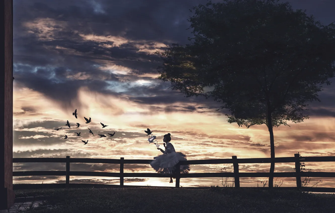 Photo wallpaper girl, sunset, bird, the fence