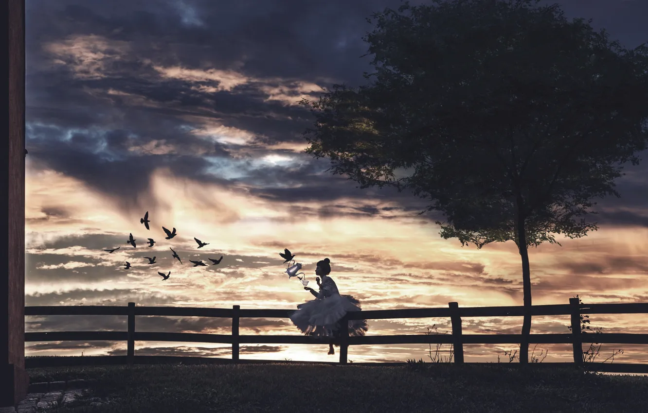 Photo wallpaper girl, sunset, birds, the fence