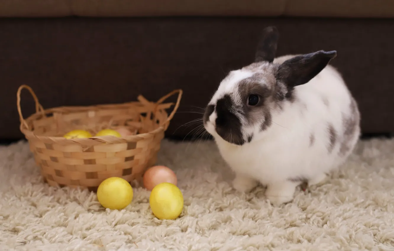 Photo wallpaper eggs, rabbit, basket
