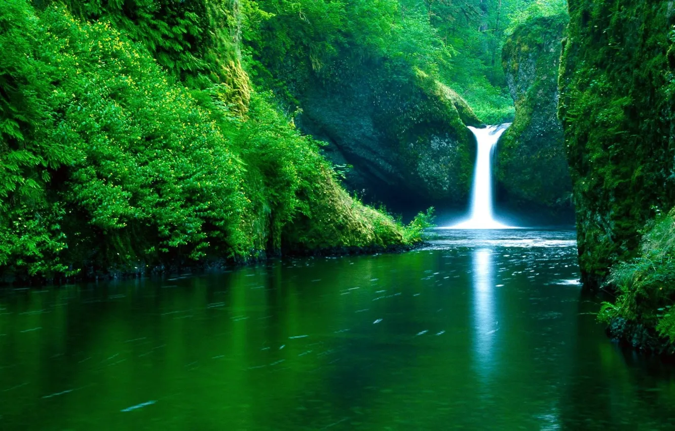 Photo wallpaper forest, landscape, water, waterfall