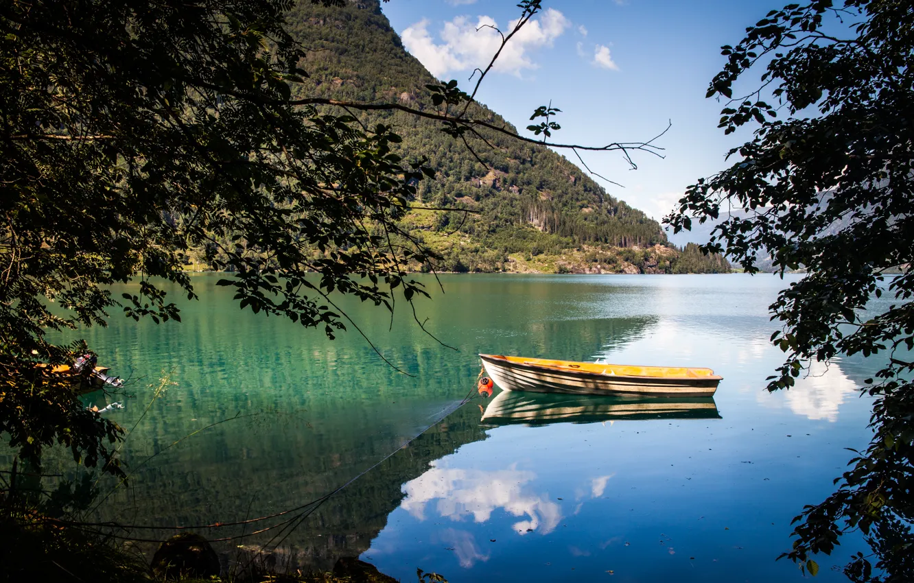 Photo wallpaper lake, branch, boat, pond, photo, photographer, Andrés Nieto Porras