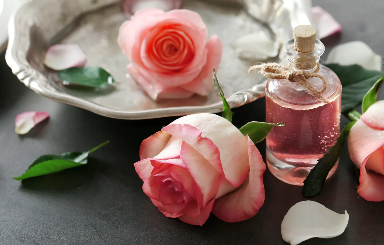 Photo wallpaper perfume, petals, rose, pink, petals, pink roses, spa, oil