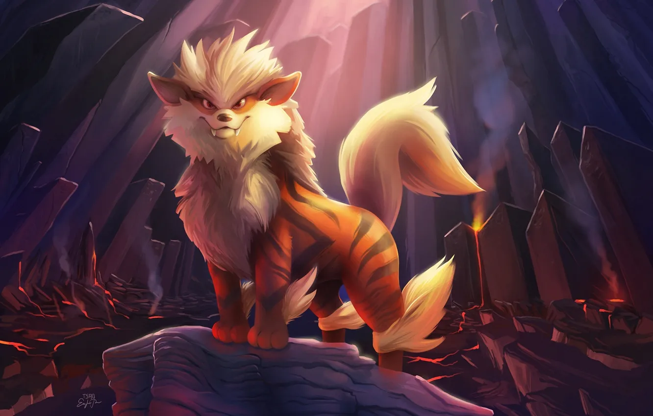 Photo wallpaper look, lights, stones, art, beast