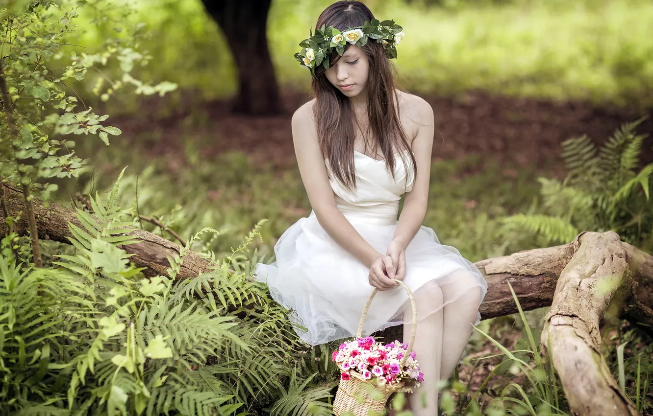 Photo wallpaper girl, flowers, nature