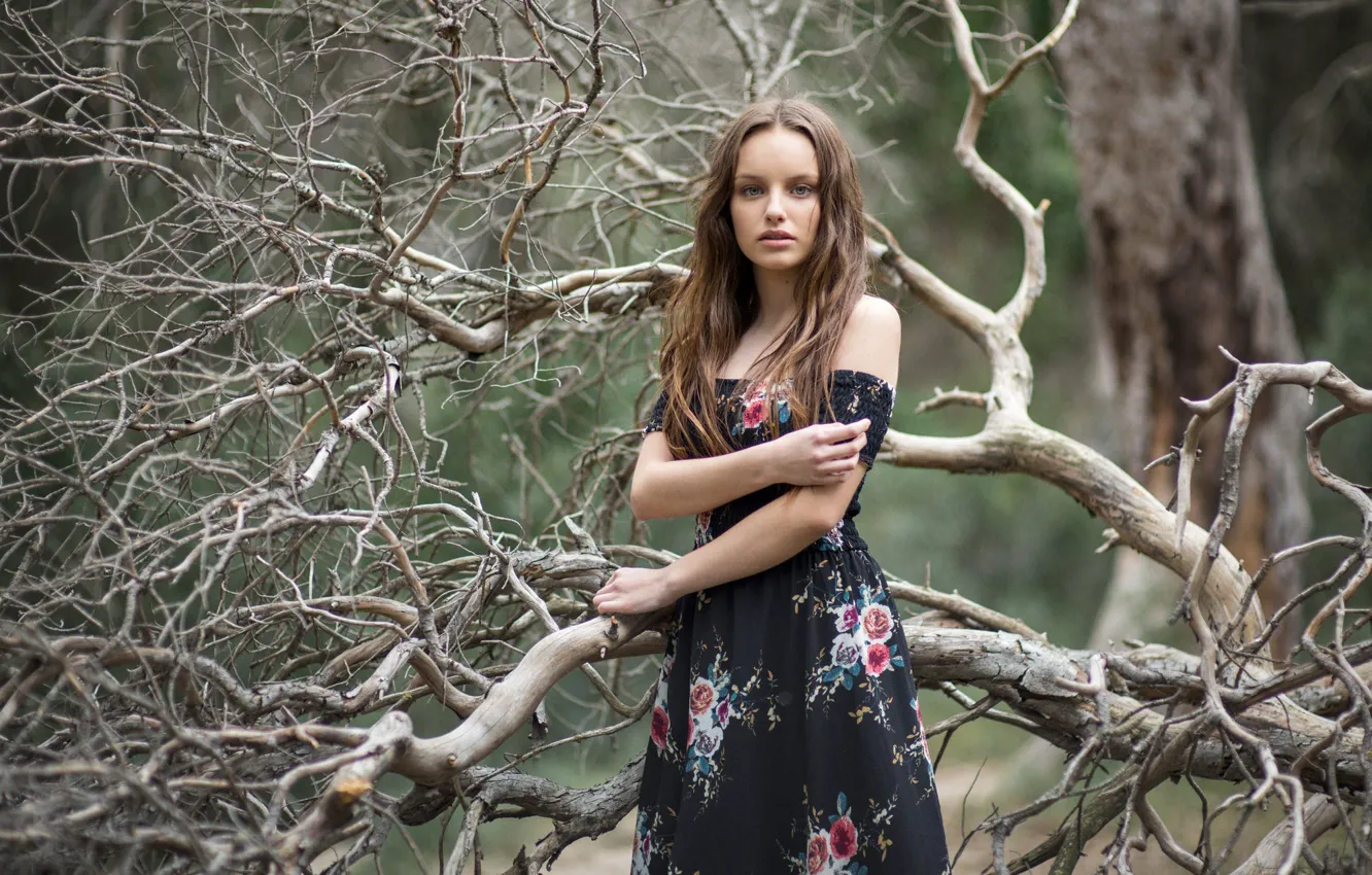 Photo wallpaper forest, girl, Claudia Followed