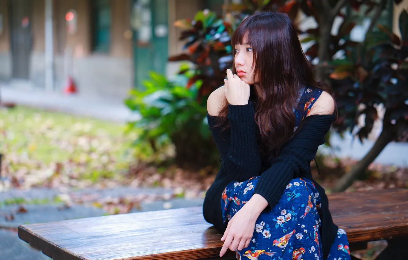 Photo wallpaper girl, bench, Asian
