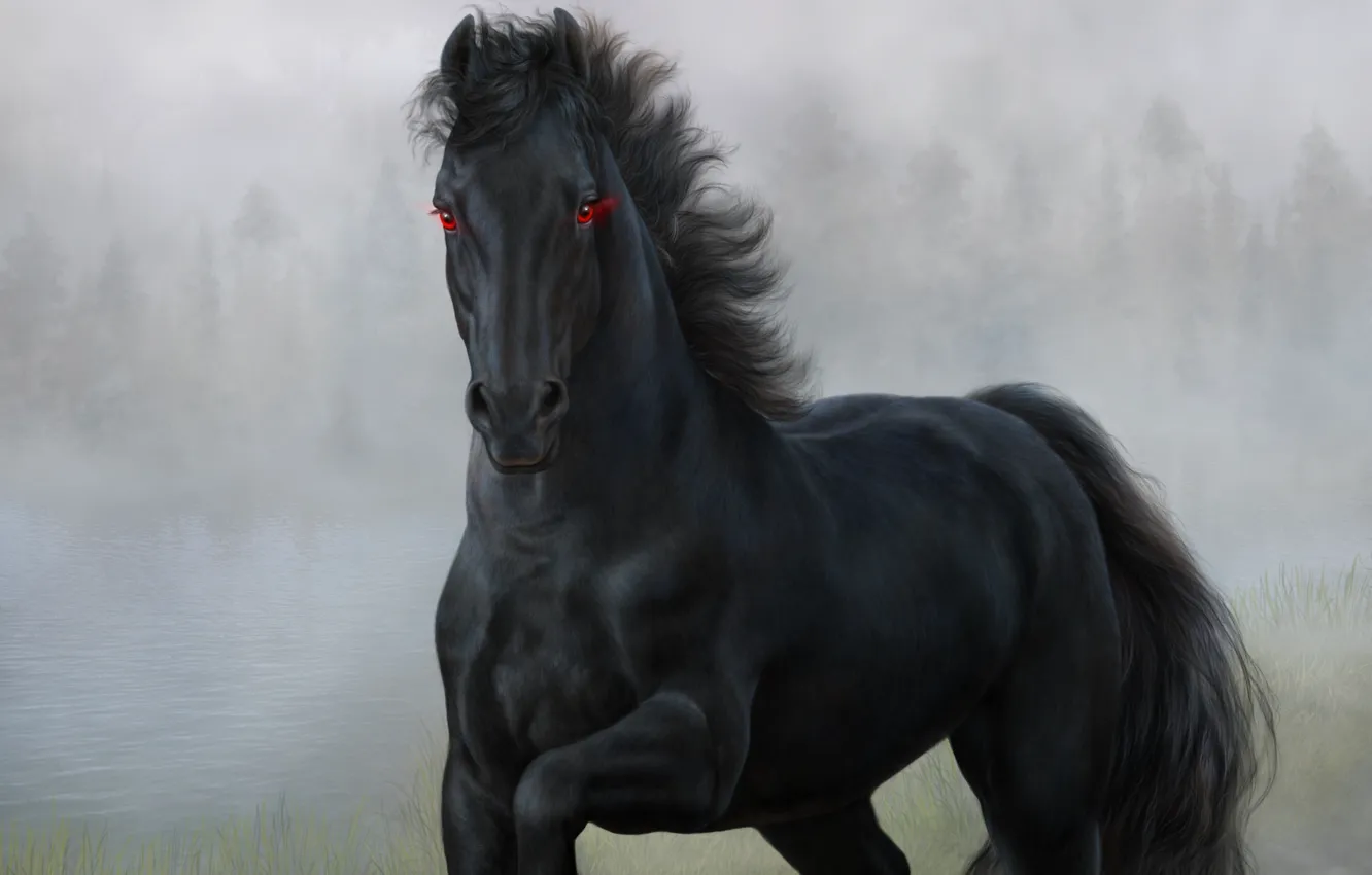 Photo wallpaper eyes, horse, black, horse